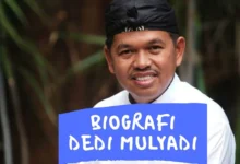 biografi dedi mulyadi perjalanan politik dan pencapaian signifikan