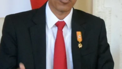 biografi joko widodo perjalanan karir dan kepemimpinan