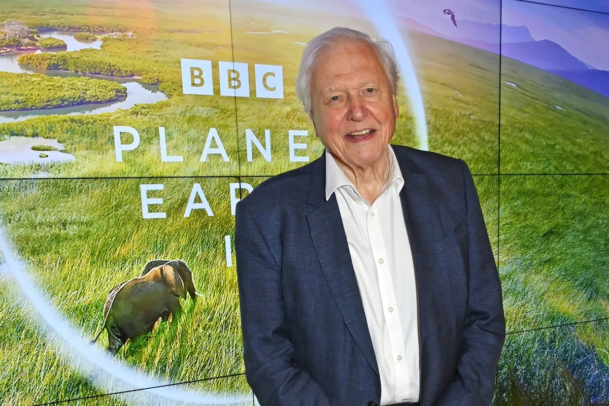 apa-saja-pencapaian-dan-penghargaan-tertinggi-yang - Biografi Sir David Attenborough: Legenda Alam & Integritasnya