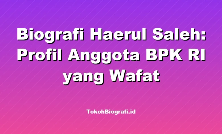 Biografi Haerul Saleh: Profil Anggota BPK RI yang Wafat