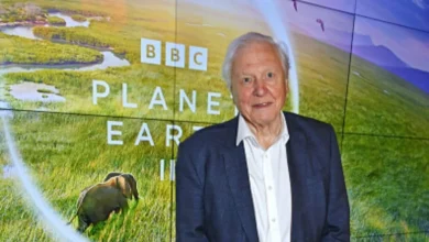 Biografi Sir David Attenborough: Legenda Alam & Integritasnya