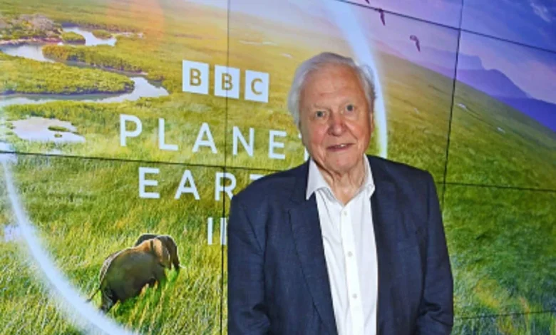 Biografi Sir David Attenborough: Legenda Alam & Integritasnya 15 Biografi Sir David Attenborough: Legenda Alam & Integritasnya