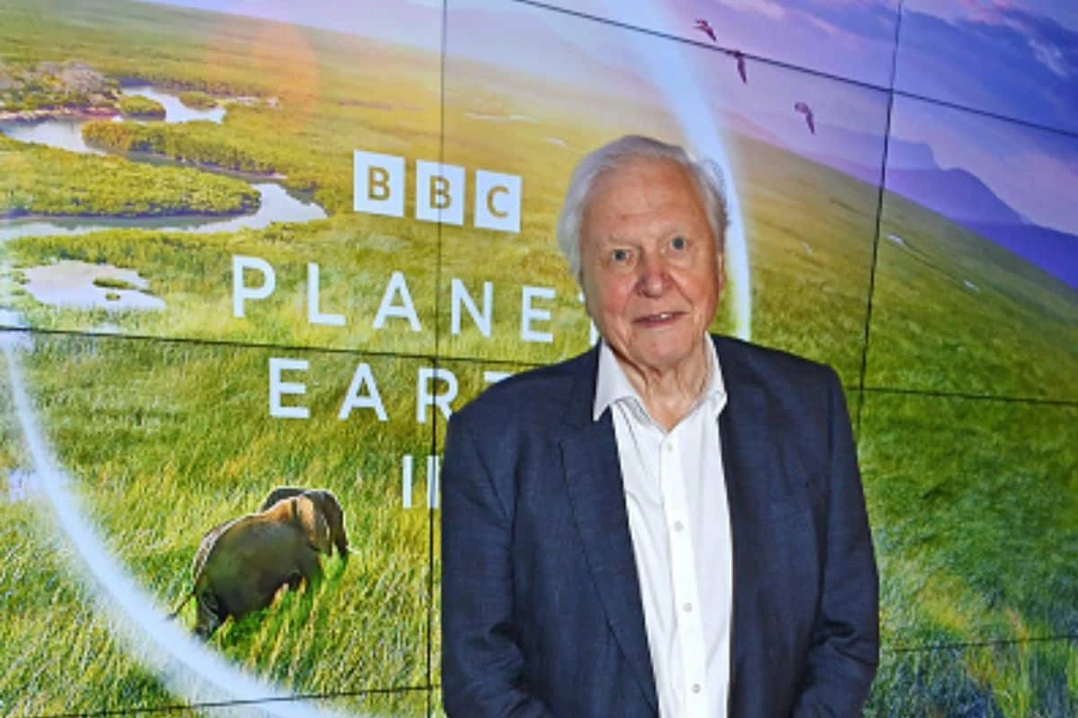 Biografi Sir David Attenborough: Legenda Alam & Integritasnya