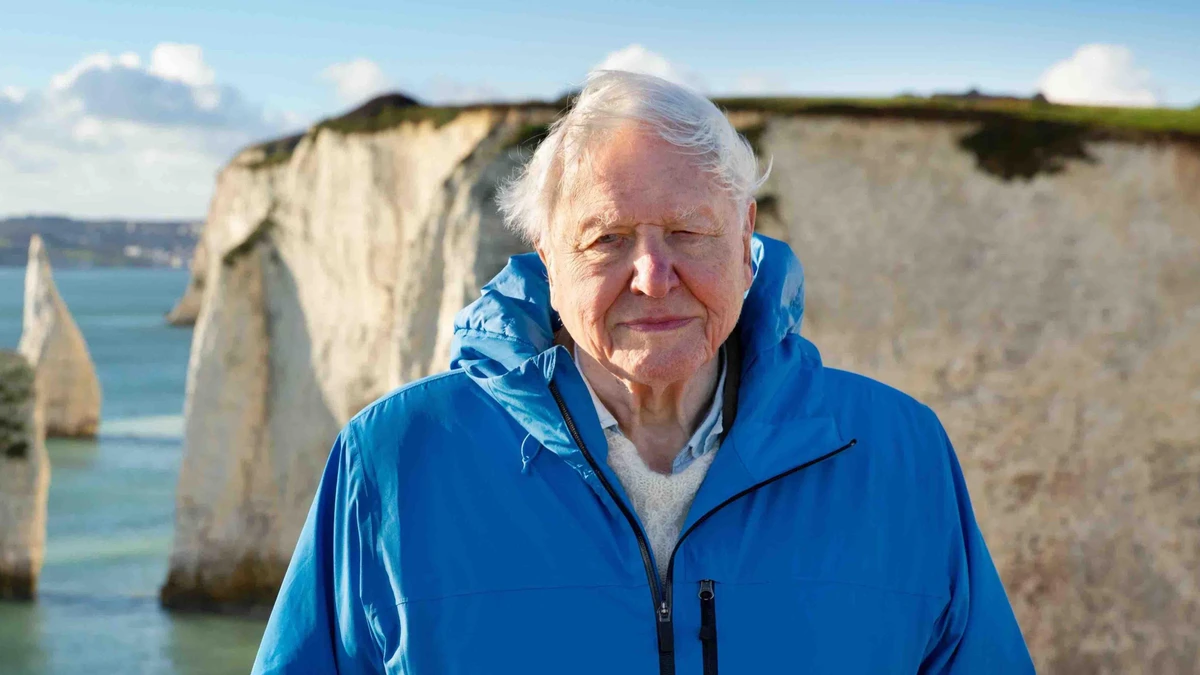 faq - Biografi Sir David Attenborough: Legenda Alam & Integritasnya